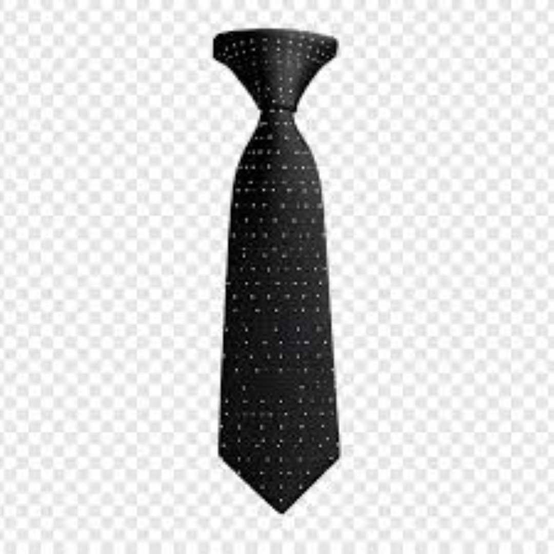 HUSEINI SALTY TIES
